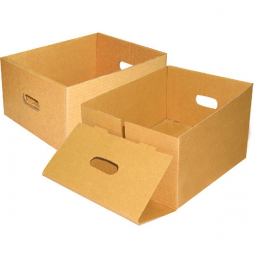 Thùng carton 3 lớp VP-06